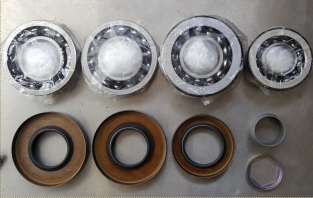 Differentieel revisie kit 188L